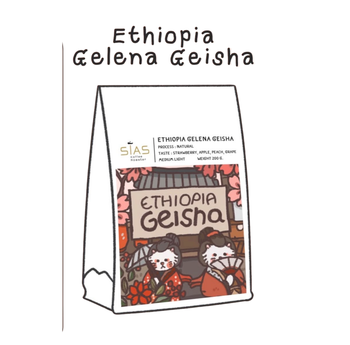 Ethiopia Gelena Geisha