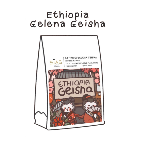 Ethiopia Gelena Geisha